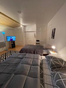 a bedroom with two beds and a flat screen tv at Chez Pierre in Vitry-le-François