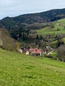 un campo de césped verde con casas a lo lejos en Schwarzwaldglück Apartment en Oberried