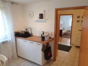 eine Küche mit einer Spüle und einer Arbeitsplatte in der Unterkunft Schwarzwaldglück Apartment in Oberried