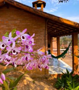 a bunch of pink flowers in front of a building at Chalés Canto da Serra in Conceição da Ibitipoca