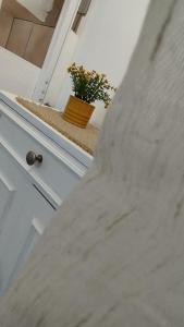 a potted plant sitting on a ledge next to a door at Sea Breeze Stegna in Archangelos