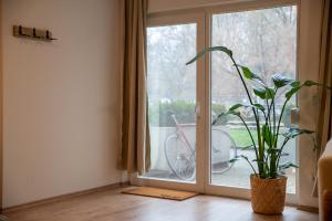 una planta en una habitación junto a una puerta corredera de cristal en Zuhause fühlen in Kreuzberg, en Berlín