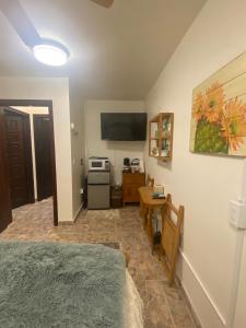 ein Zimmer mit einem Bett und einem Fernseher an der Wand in der Unterkunft Dolphin Beach Get Away in Rosarito + 25 Fotos