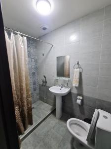 a bathroom with a sink and a toilet and a shower at Hotel Anor in Samarkand