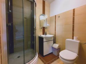 un bagno con doccia, WC e lavandino di Willa Dzika Róża a Sandomierz Altre 34 foto