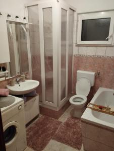 ein Bad mit einem WC, einem Waschbecken und einer Dusche in der Unterkunft Apartmani Bilić in Dugi Rat
