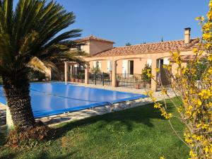 una piscina frente a una casa con palmeras en AU MIMOSA - Gîte Le Murier, en Passa