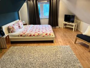 1 dormitorio con 1 cama, TV y alfombra en Ferienhaus Fienstorf en Steinfeld