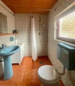 a bathroom with a toilet and a sink and a shower at Family lake house Zbilje in Ljubljana