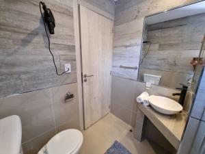 bagno con servizi igienici, lavandino e specchio di Suite La Posta a San Salvador de Jujuy