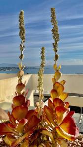 Fotografia z galérie ubytovania MAGNIFIQUE APPARTEMENT T4 GRAND STANDING - VUE MER PANORAMIQUE ET PISCINE v destinácii Bandol
