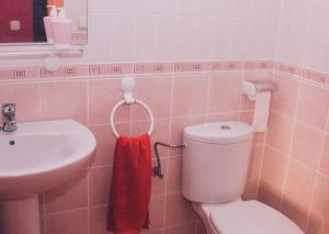 a bathroom with a toilet and a sink at Apartamento Vista al Ara in Aínsa +34 photos