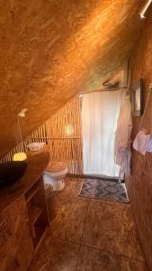 a bathroom with a toilet and a shower and a sink at Complejo turístico Magic Bungalow in Villa de Leyva