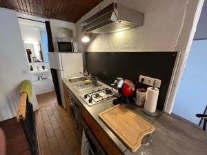 een kleine keuken met een fornuis en een koelkast bij Louis Maissa in Saint-Martin-Vésubie