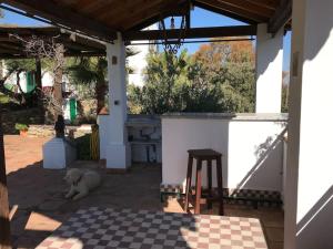 un chien pondant sur le sol dans une terrasse dans l'établissement Villa Carmen Magnificent Country House in Serranía, à Ronda