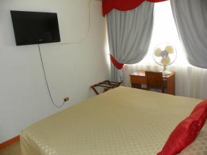 TV a/nebo společenská místnost v ubytování Hotel Savona
