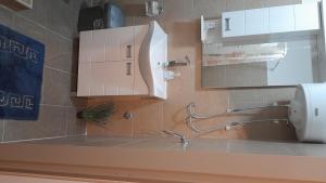 eine Badezimmertheke mit einem Waschbecken und einem Spiegel in der Unterkunft Sun and river Apartments in Golubac