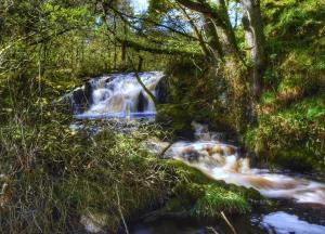 un flusso d'acqua che scorre attraverso una foresta di The Kenmuir Arms Hotel a New Luce