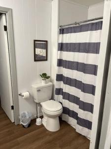 uma casa de banho com um WC e uma cortina de chuveiro azul e branco. em Bon Temps House - close to everything Eunice has to offer! em Eunice