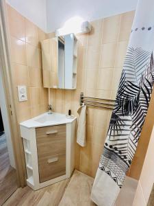 uma pequena casa de banho com um lavatório e um espelho em Appartement T2 - 4 couchages em La Garde