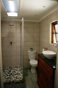 Bloemfontein的住宿－The Mustard Seed Guesthouse，一间带卫生间和水槽的浴室
