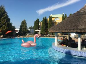 The swimming pool at or close to Helena Stúdió Apartman