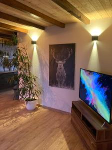 ein Wohnzimmer mit einem Flachbild-TV an der Wand in der Unterkunft Ammerschwihr le cœur du vignoble in Ammerschwihr