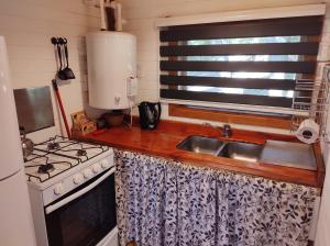Virtuvė arba virtuvėlė apgyvendinimo įstaigoje Cabaña en Bosque Nativo