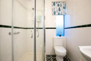 une salle de bain avec une douche, des toilettes et un lavabo dans l'établissement Oystercatcher - Mount Brioni, à Downderry 16 autres photos