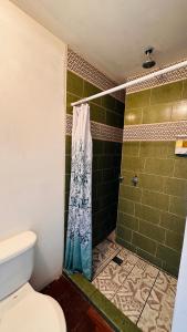 a bathroom with a shower with a toilet at CASA DE LAS FLORES in Guatemala