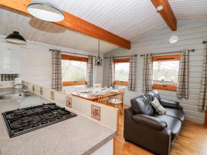 a kitchen with a couch and a table in a room at Snowy Owl Lodge in Rhayader