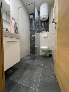 un baño con ducha y WC en Apartman Danica 23, en Jahorina 8 fotos más