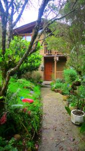 Giardino di Beehouse Arví Cabaña