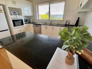 a kitchen with a plant on a counter at Spacious 4BR getaway with panoramic water & mountain view in Green Point