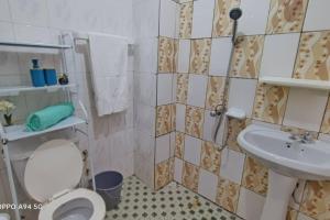 La salle de bains est pourvue de toilettes et d'un lavabo. dans l'établissement Grace Apart Bastos Yaoundé, à Yaoundé