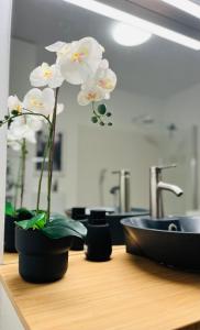 Fotografie z fotogalerie ubytování Apartment Leo6 v Salcburku