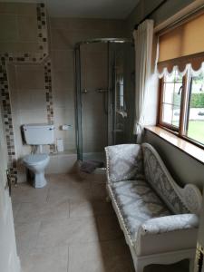 a bathroom with a couch and a shower and a toilet at Millhouse B&B in Ballymote