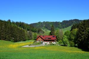 Ferienwohnung Böck, Wengen im Allgäu في Weitnau: منزل في وسط حقل أخضر
