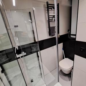 a bathroom with a toilet and a glass shower at Apartament Źródełko in Krynica Zdrój