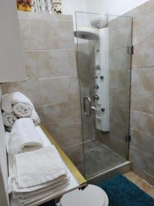 a bathroom with a shower with a toilet and towels at Destiny Palms Apt in Belle Air Summit