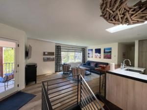 a large living room with a kitchen and a living room at Box Canyon View in Telluride