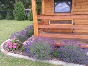 un banco de madera sentado junto a un jardín con flores púrpuras en Domek Letniskowy "Domek Lawendowy" en Pisz