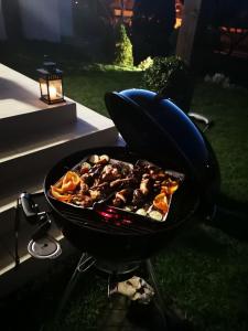 Oprema za žar, na voljo gostom v apartmaju