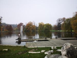 Pokrajina v okolici apartmaja