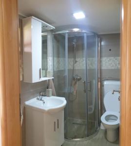 a bathroom with a shower and a sink and a toilet at Kuća za odmor Ravančić 