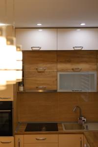Apartman Andja的厨房或小厨房