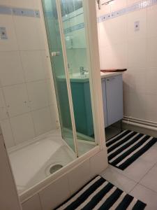 La salle de bains est pourvue d'une douche avec une porte en verre. dans l'établissement Moderne et Lumineux, à Paris