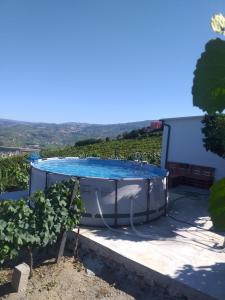 a swimming pool on the roof of a house at Retiro da Quinta do Souto in Peso da Régua