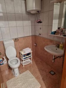 a bathroom with a toilet and a sink at Studio Apartman Maša Kupres in Kupres