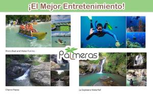 Afbeelding uit fotogalerij van Palmeras Beach Apartments - Playa Santa in Guanica